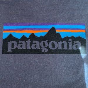 Patagonia blue top